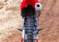 340452_The_CRF250R_and_CRF250RX_headline_the_2022_CRF_family_updates
